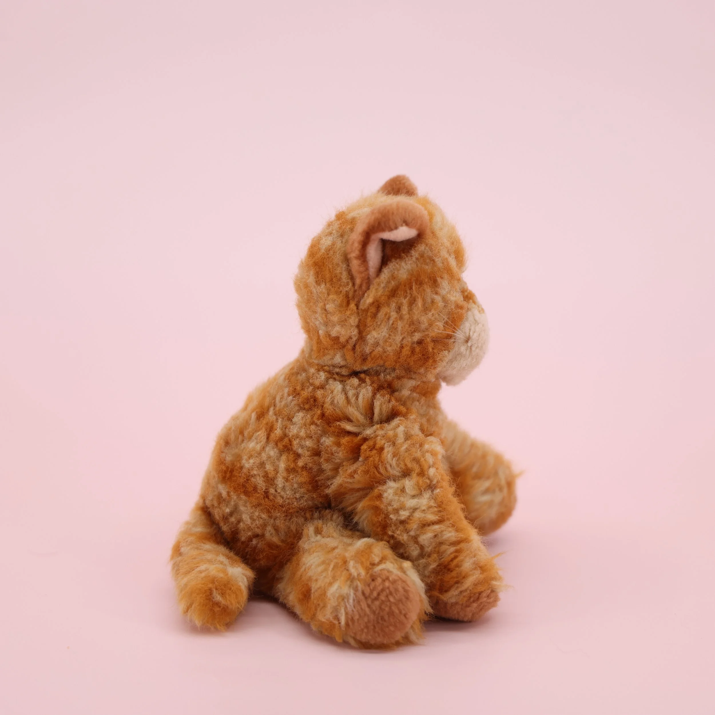 2R1A7537.JPG