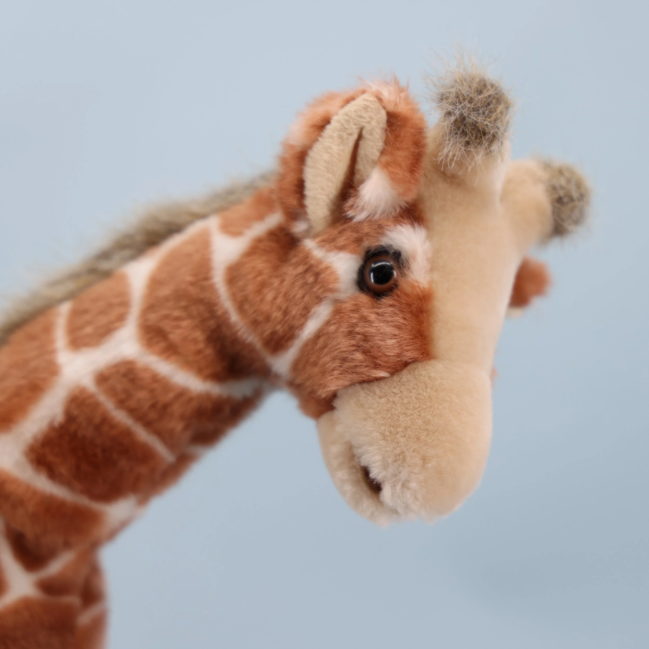 2R1A6560.JPG