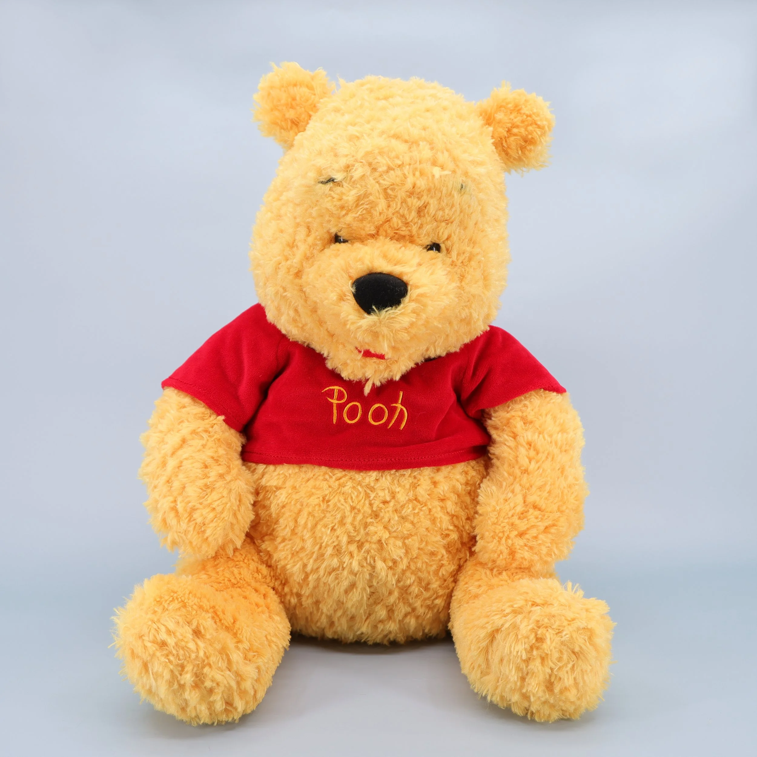 Pooh Bear
