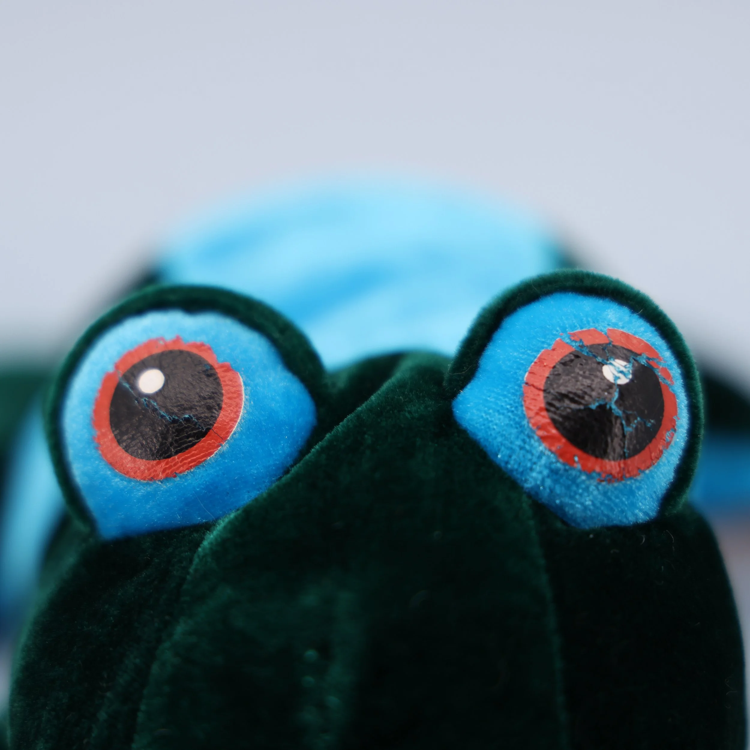2R1A7358.JPG