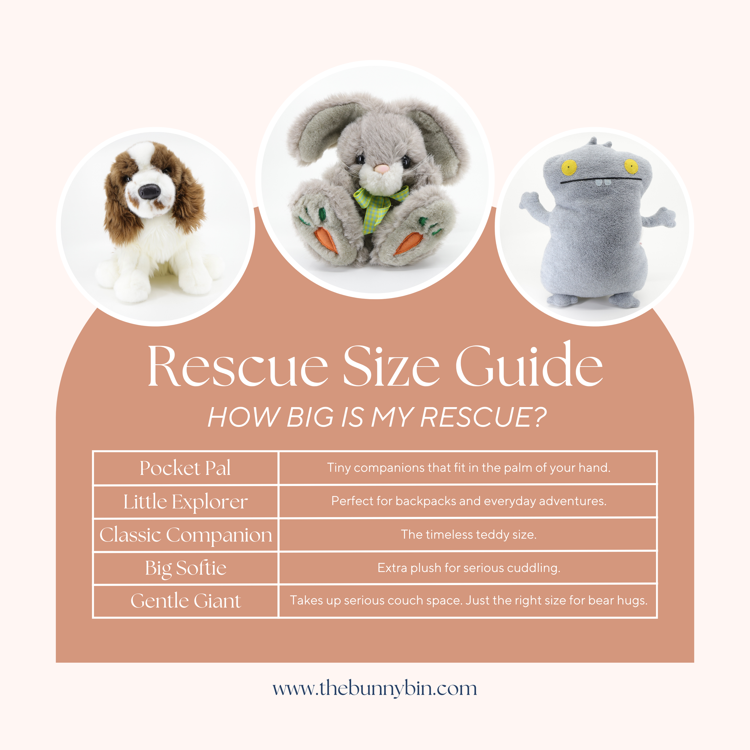 Cream Minimalist abstract Size Chart Instagram Post.png