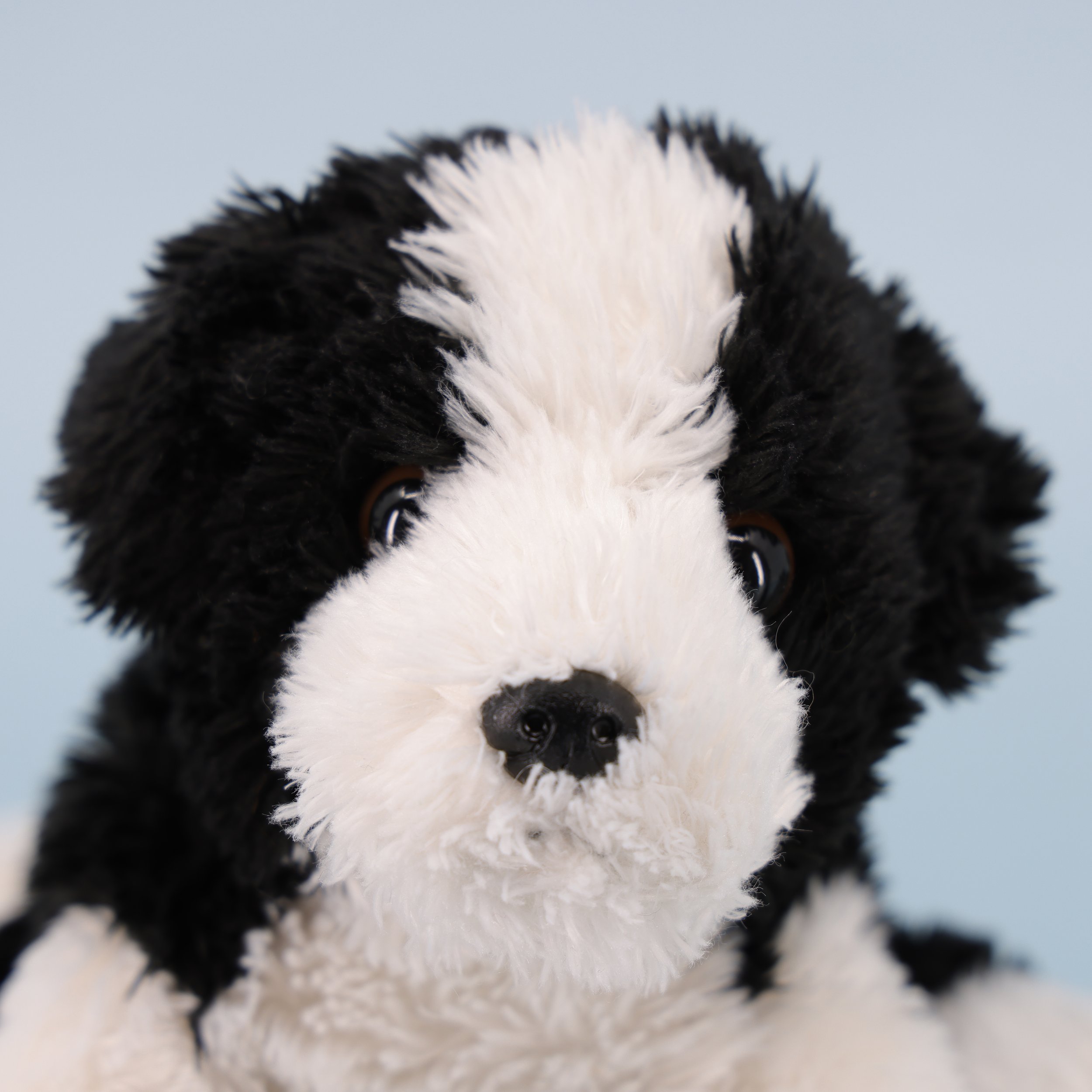 IMG_6594.JPG