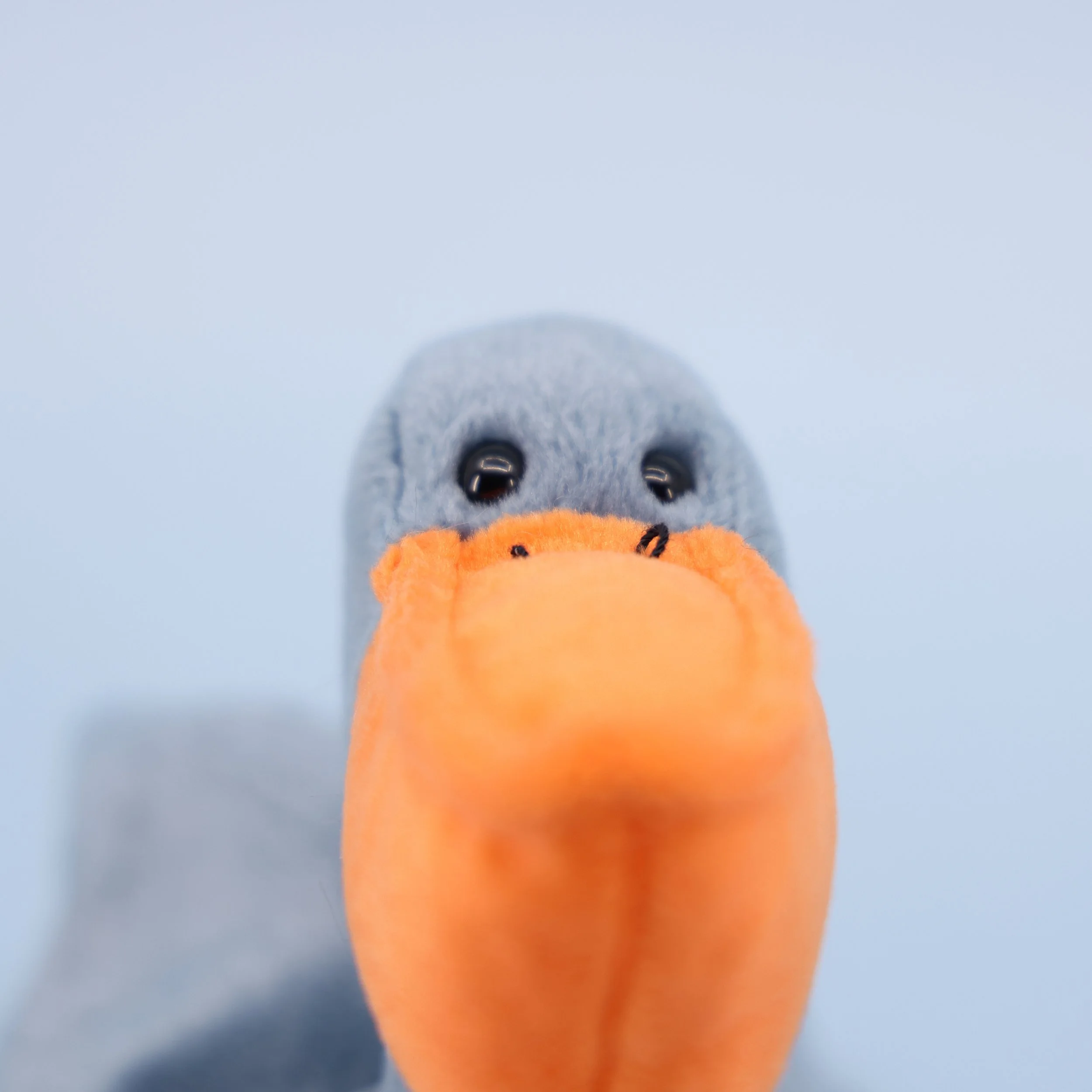 2R1A7368.JPG