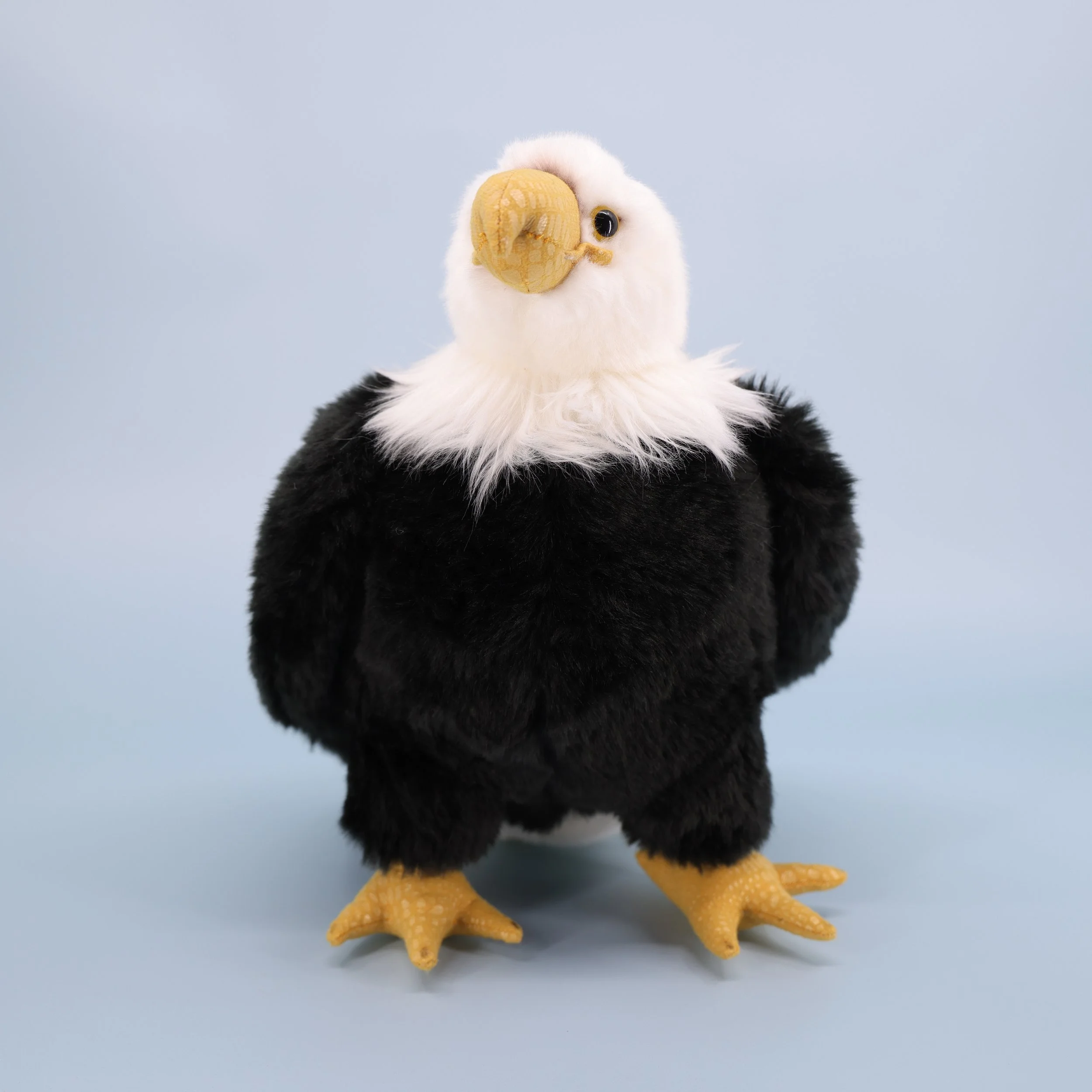 Franklin