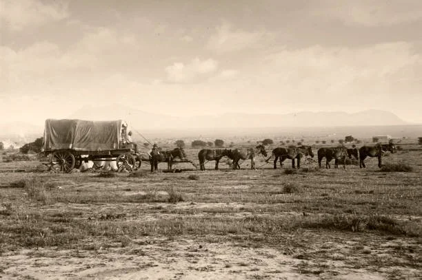 Conestoga Wagon Family Story