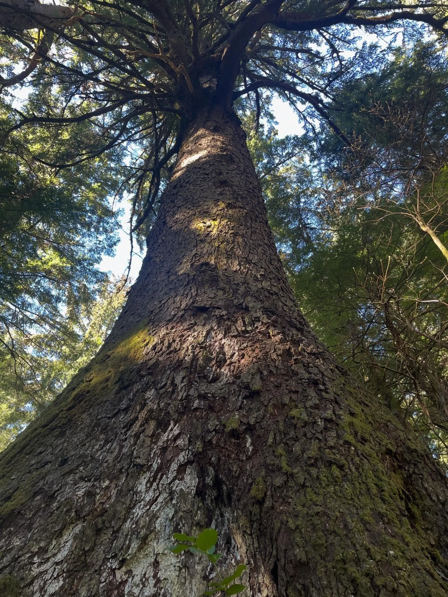 What are you afraid of? What fears have you overcome? For me public speaking was one of my biggest fears. That&rsquo;s changed though. Keep reading. 👓
Big things are happening!
I have a new blog and my first post is up on&hellip;wait for it&hellip;m