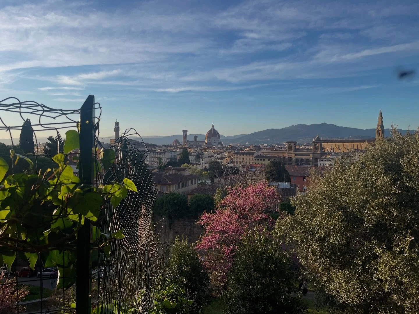 Who&rsquo;s in Italy? This girl! And, of course, I&rsquo;ll be blogging as I go. Here&rsquo;s the first installment. https://aimeeinitalia.blogspot.com/