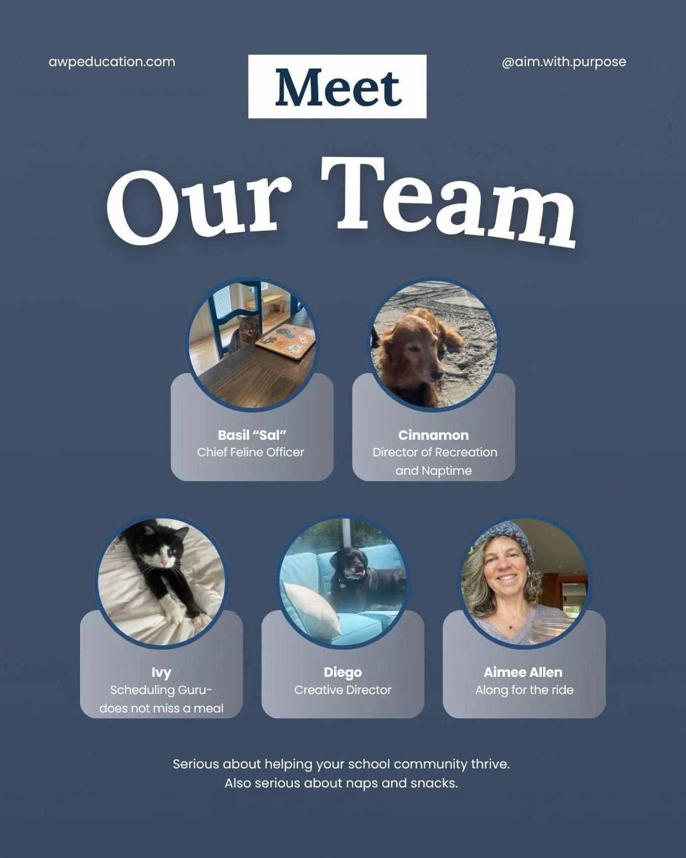 Meet the team behind awpeducation!