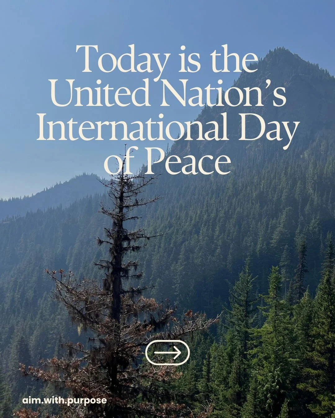Happy International Day of Peace! This year's theme is Invest in Peace: For everyone, everywhere, every day. To learn more about this day and what you can do, check out the UN's website. https://www.un.org/en/observances/international-day-peace
I hop