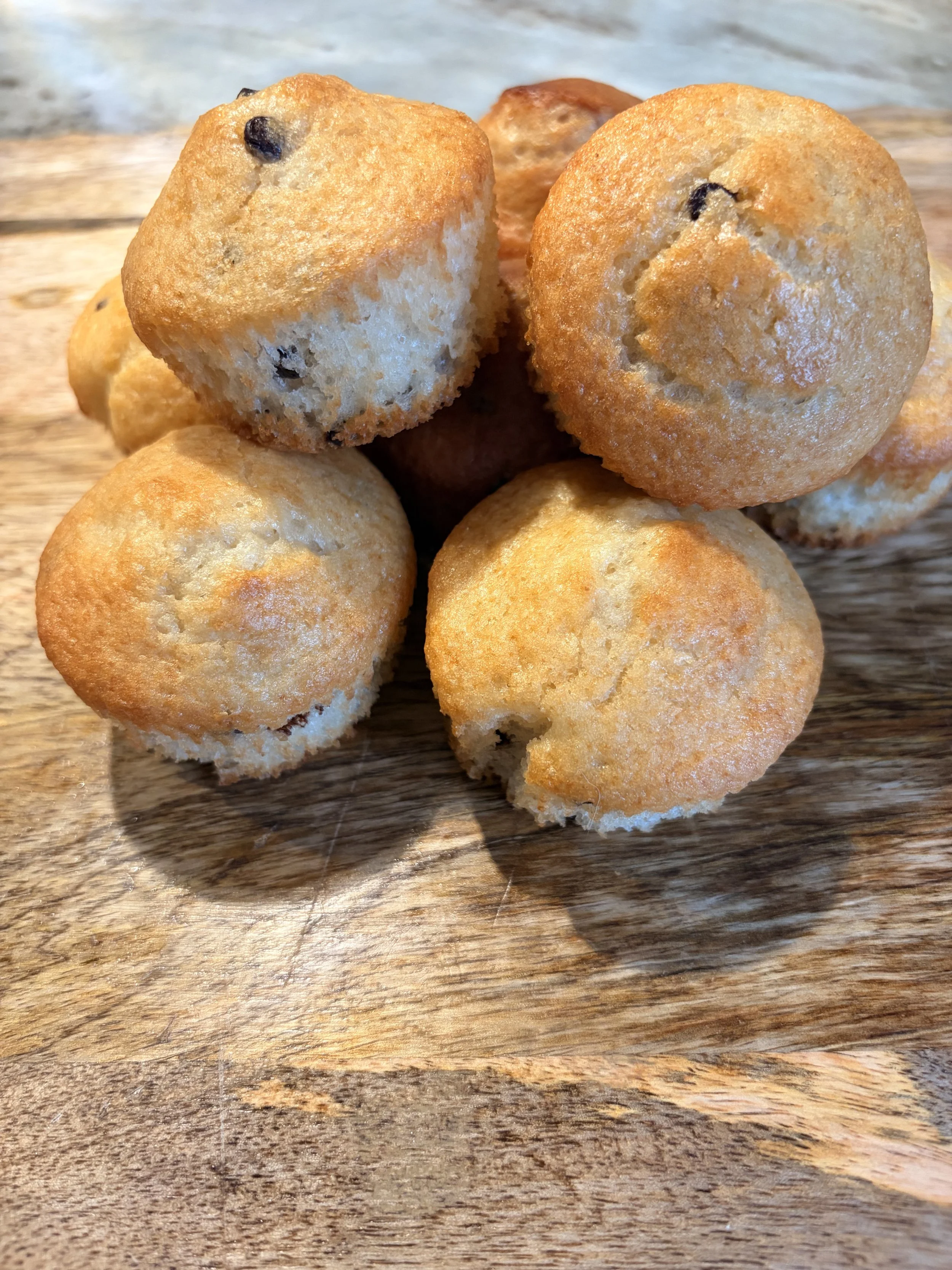 Sourdough Chocolate Chip Protein Muffins (8)