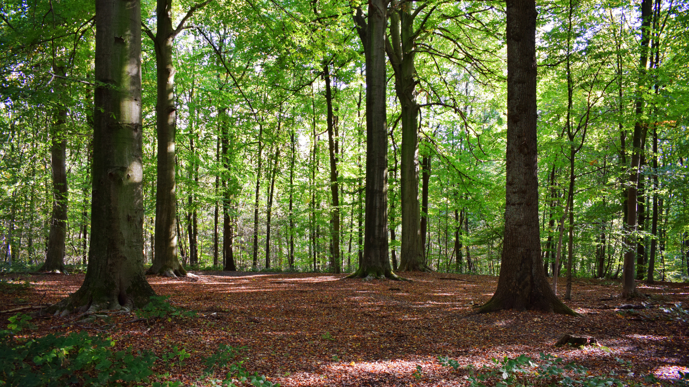 7 Things You Should Know About Sewickley Heights Manor