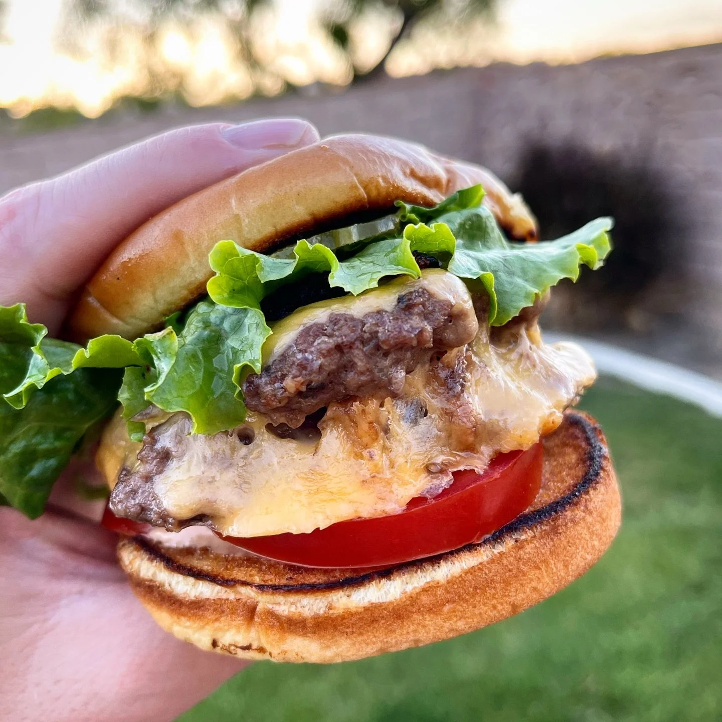 Day 2 of National Griddle Week and it&rsquo;s Burger Day! Nothing elevates your burger game more than a @blackstoneproducts Griddle. Seriously! The proof is in these pictures of my favorites so far! #ngw2026 #nationalgriddleweek2026 #aweekofgoodeats 