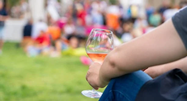 Adirondack Wine &amp; Food Festival