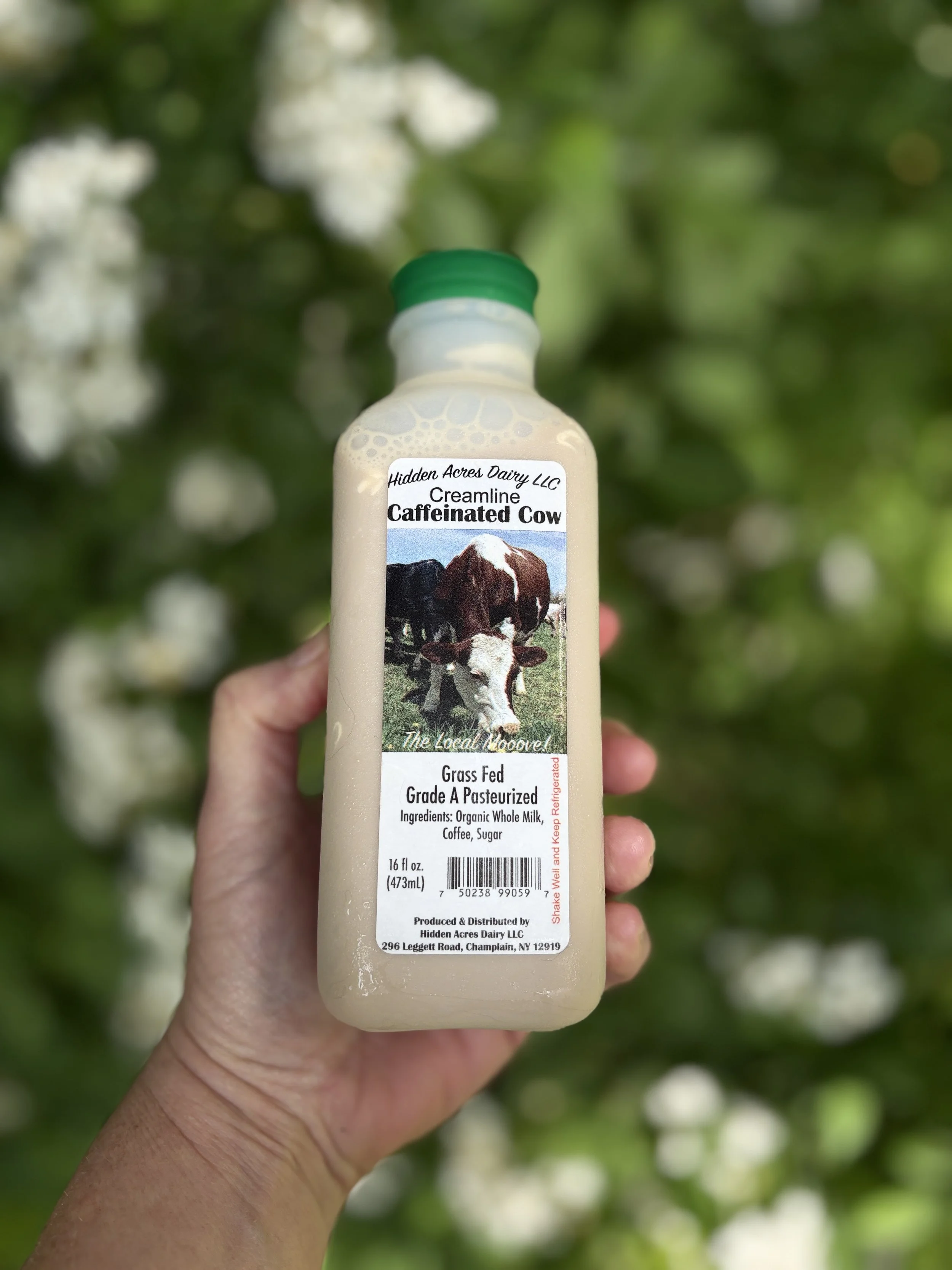 Creamline Caffeinated Cow