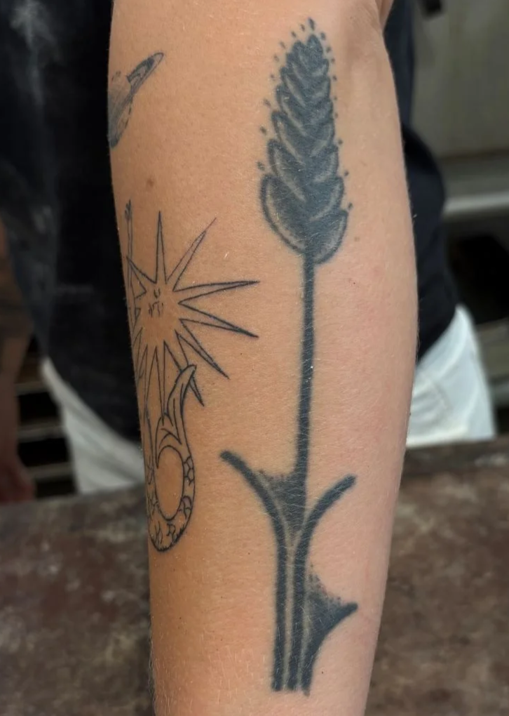 A tattoo of a shaft of wheat on the arm of Courtney Marvin the baker behind The Drifter's Loaf in Elizabethtown, NY.