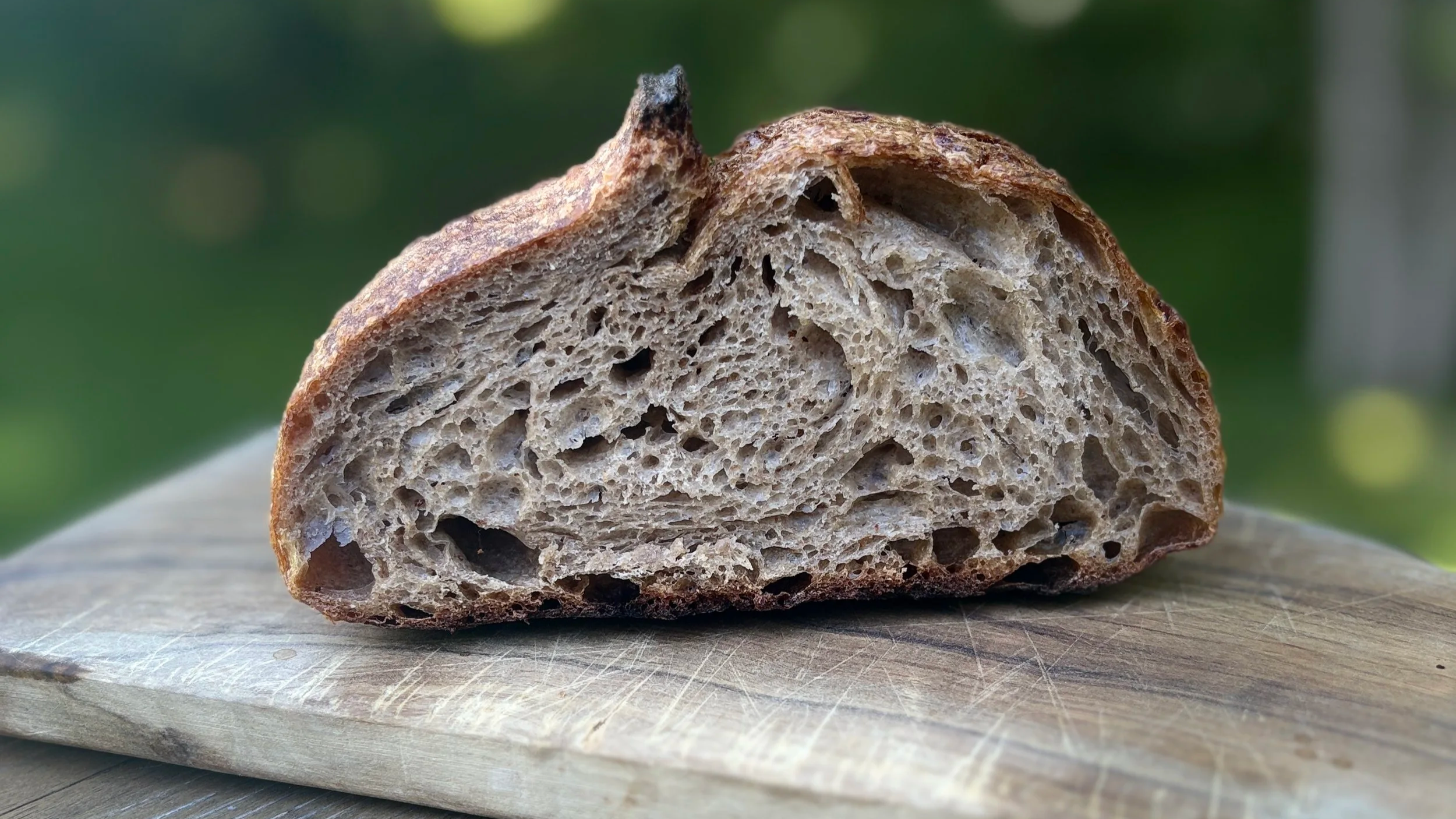 Cut side of The Drifter's Loaf sourdough