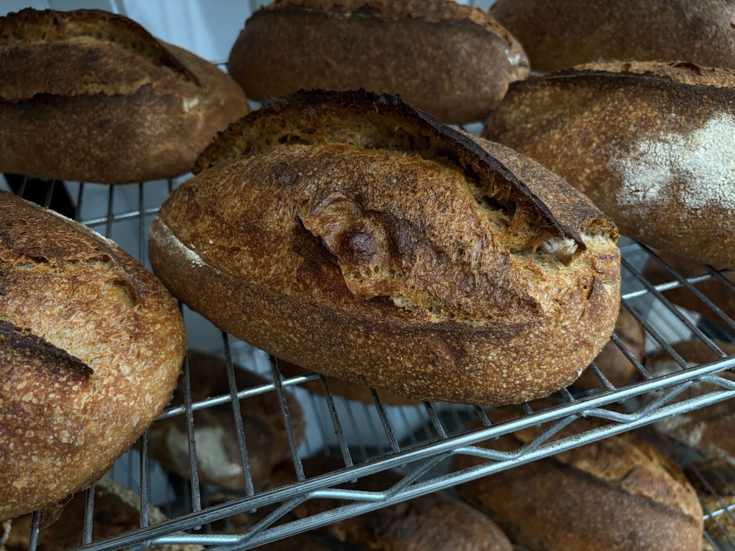 A close-up of a loaf of County sourdough from The Drifter's Load in Elizabethtown.