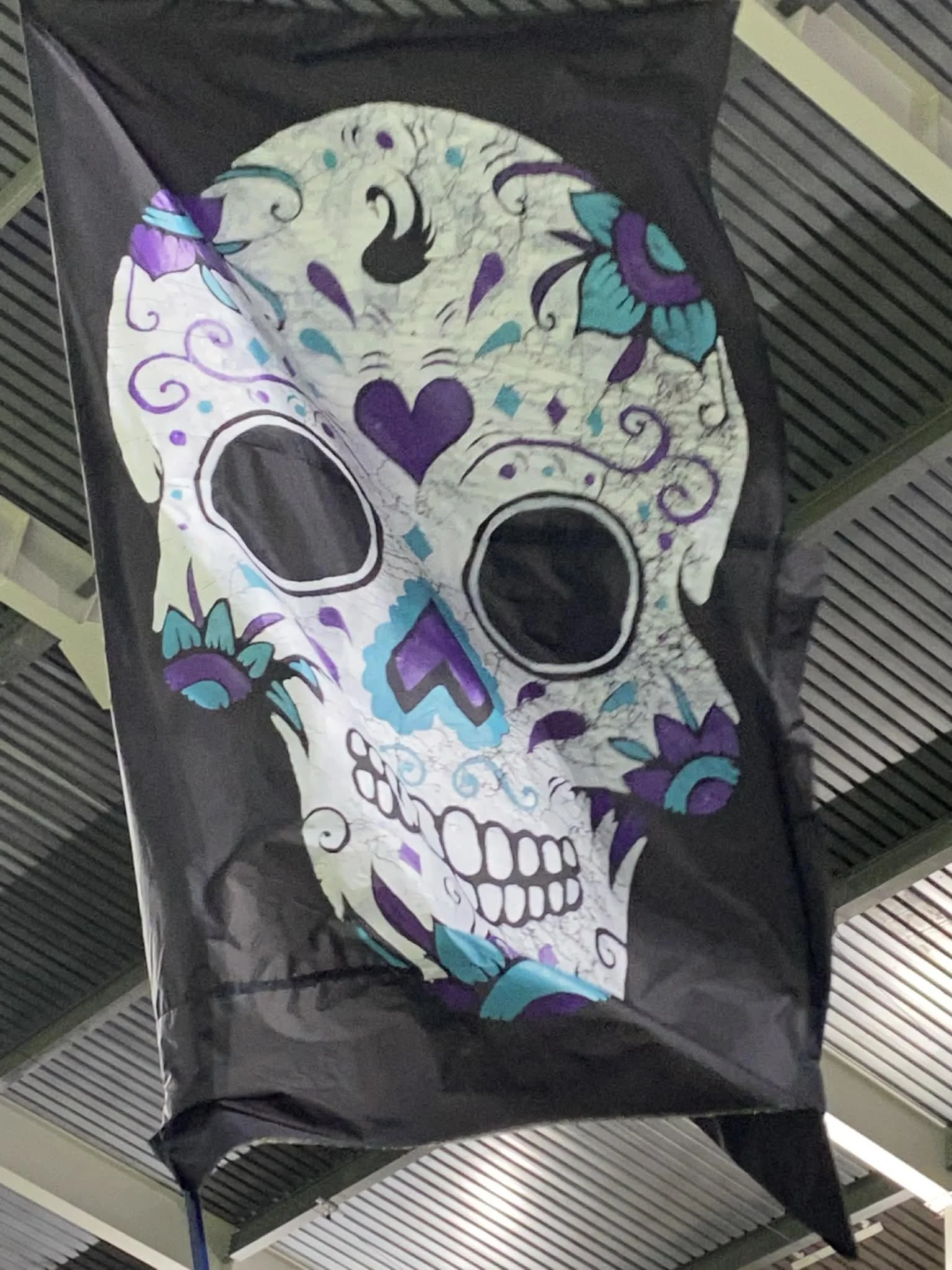 Black Swans 2026 Membership