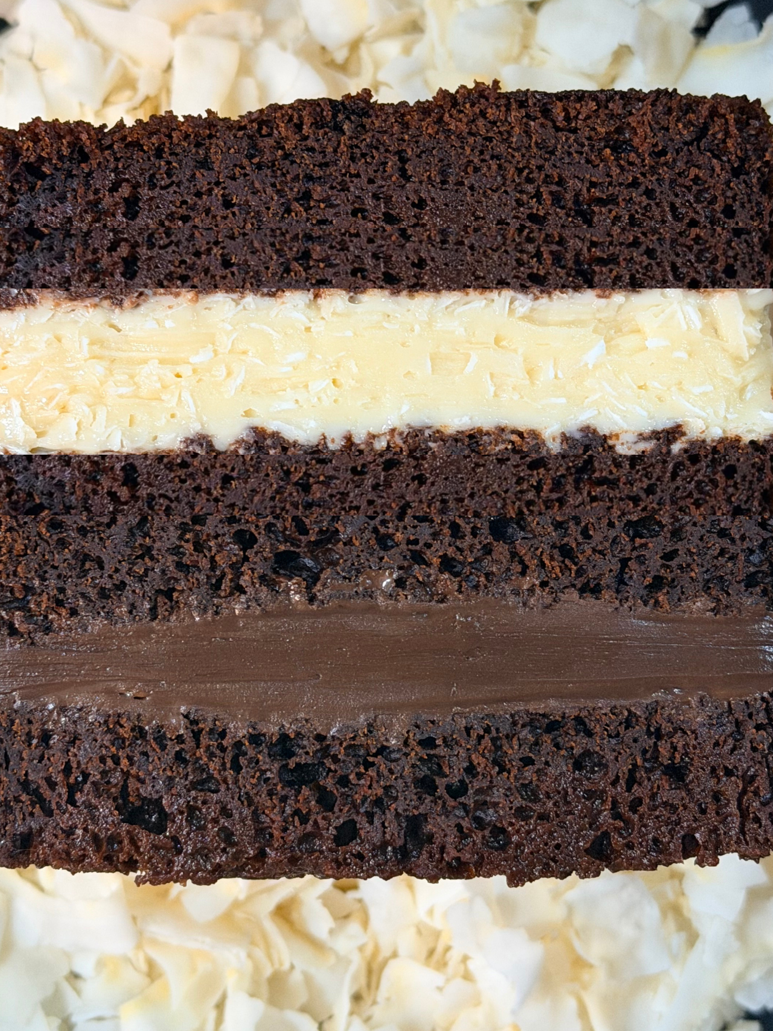 Untitled design (13).png