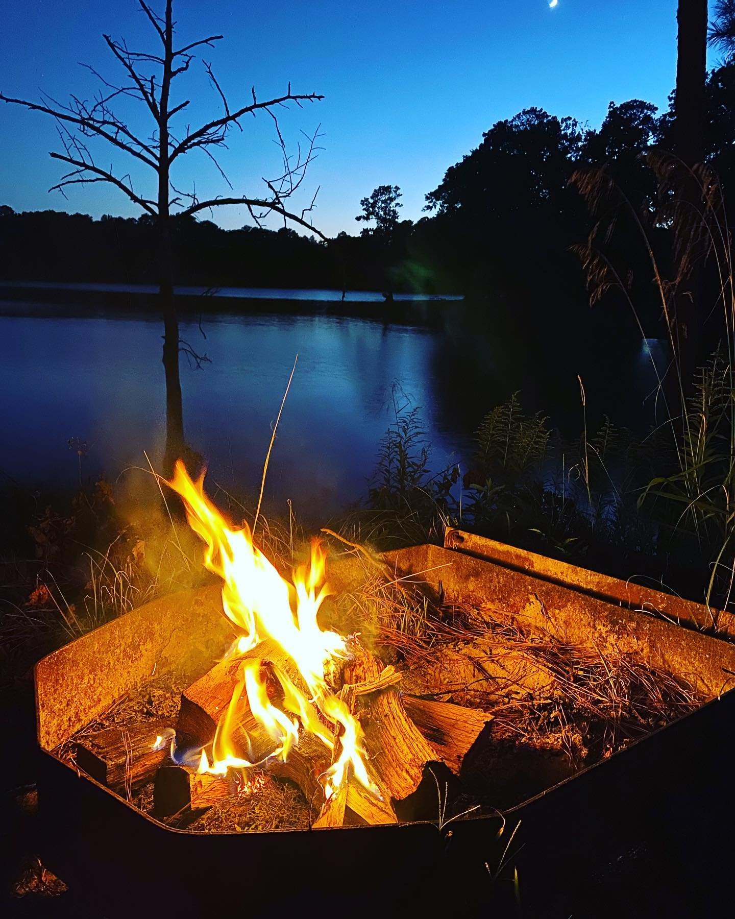 It&rsquo;s Fall Y&rsquo;all. 🎃