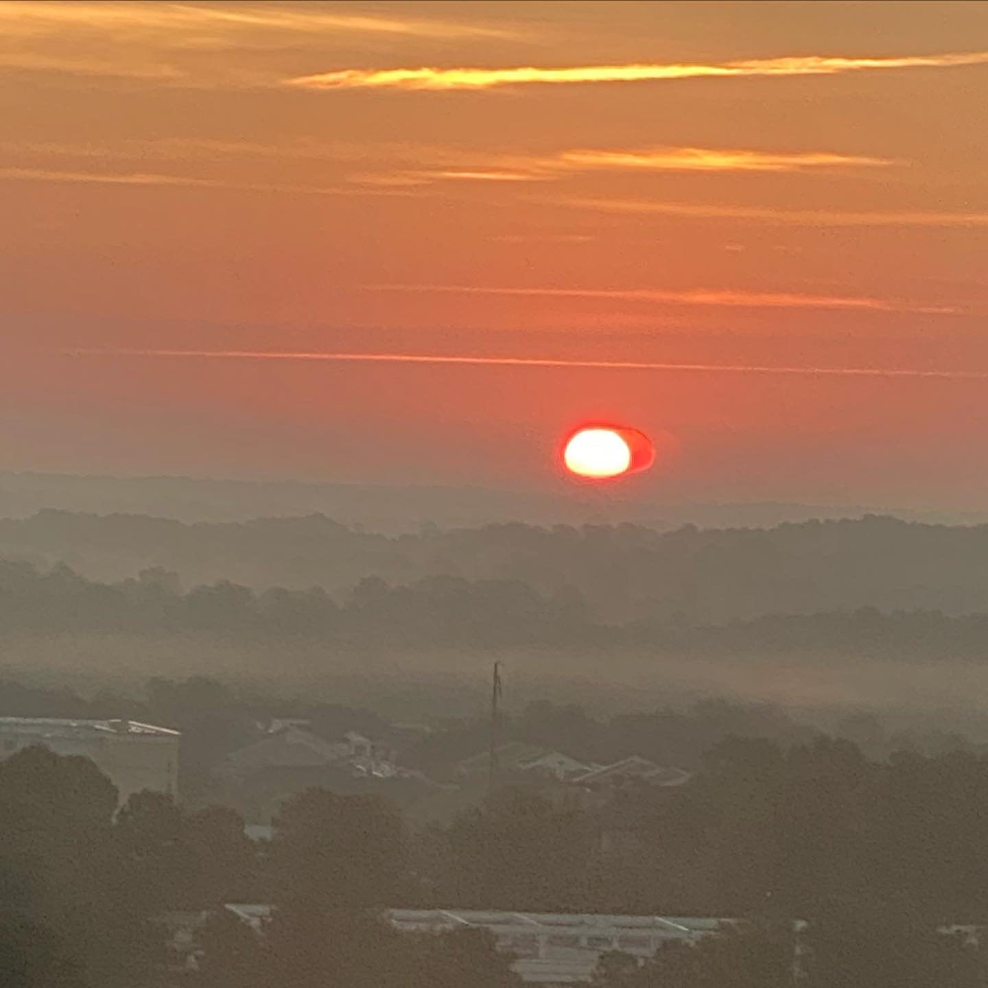 Beautiful sunrise at the Liger Lair!