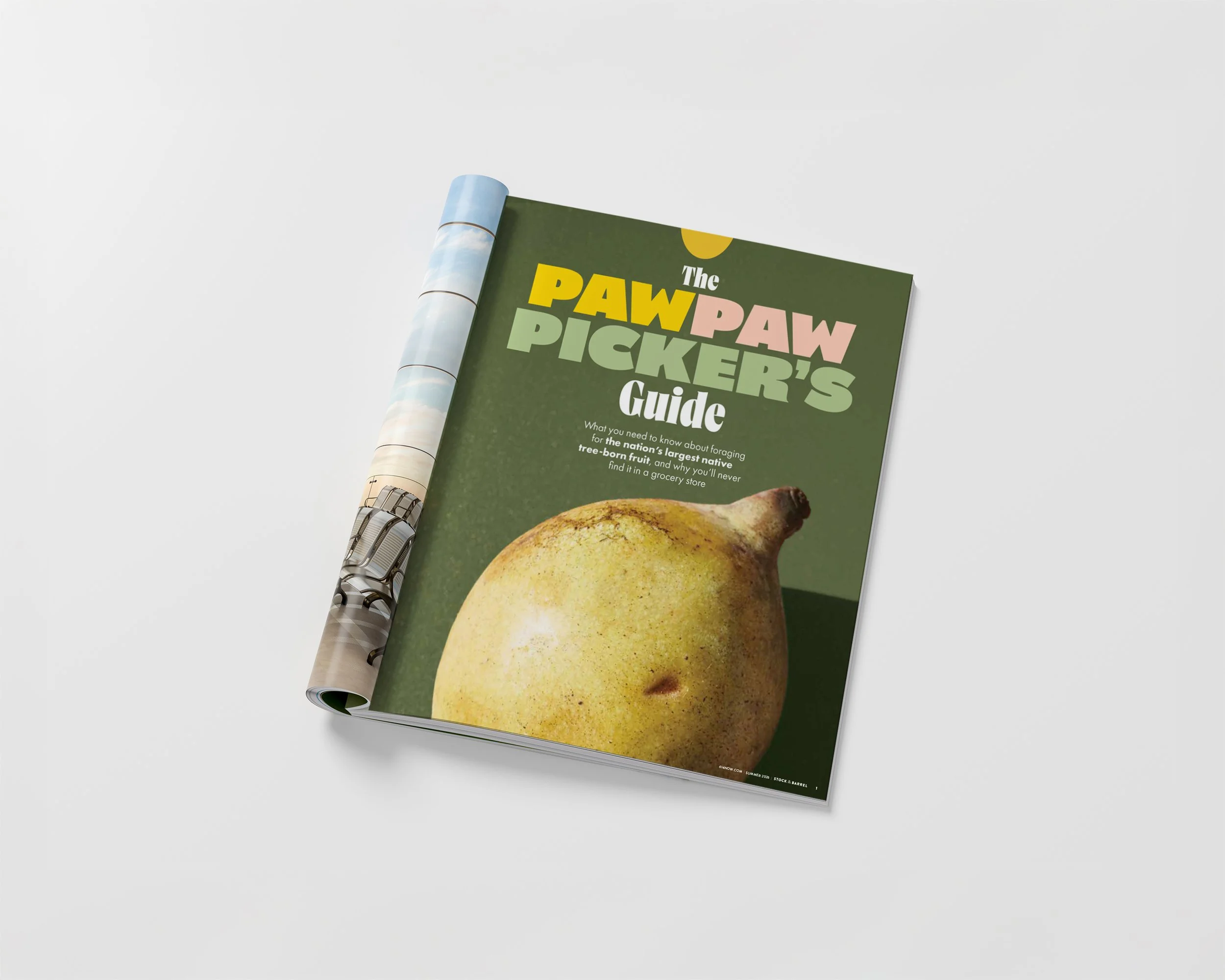 JFD_PawPaw.jpg