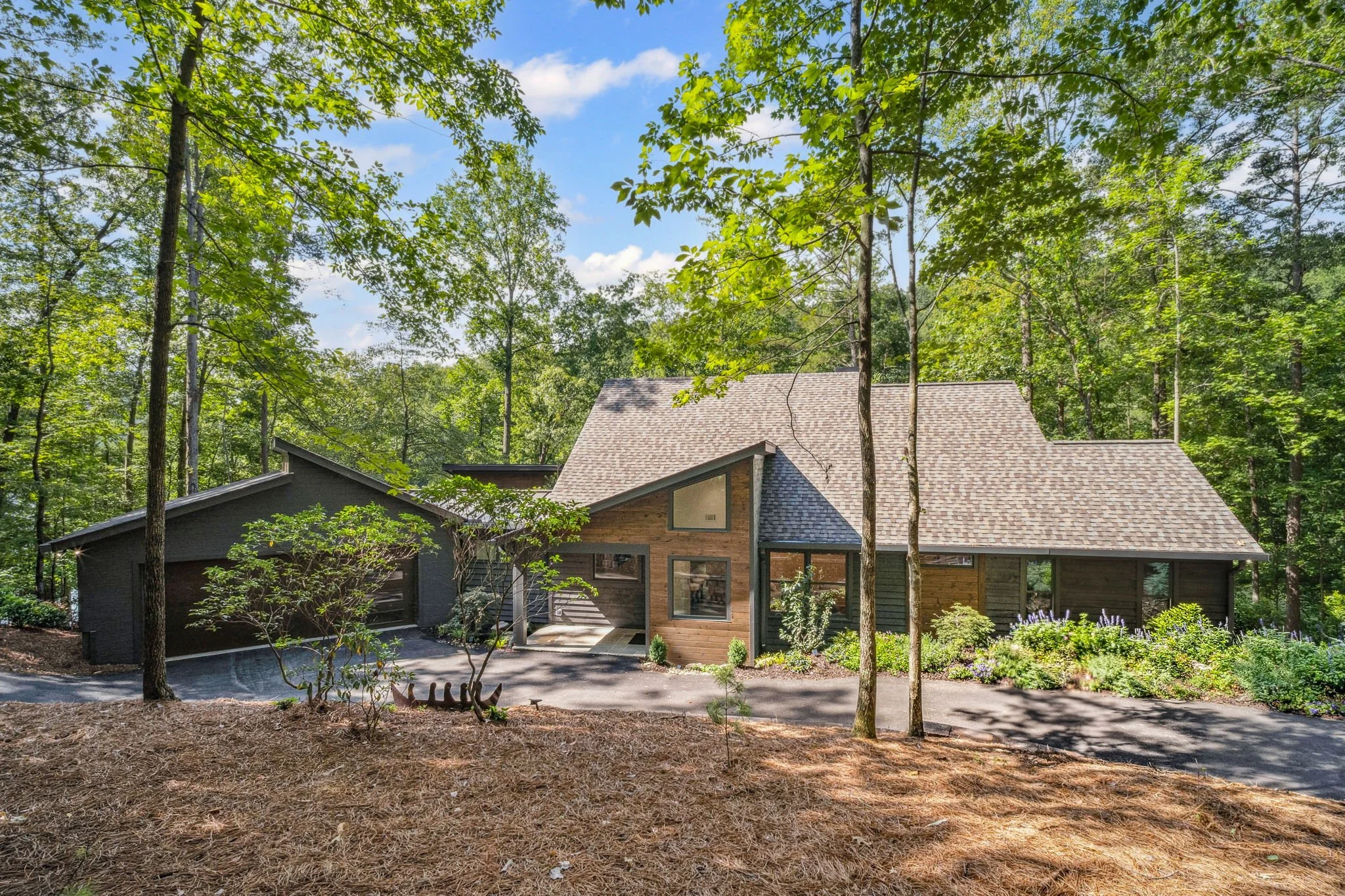 Modern house surrounded by tall trees in a lush forest.