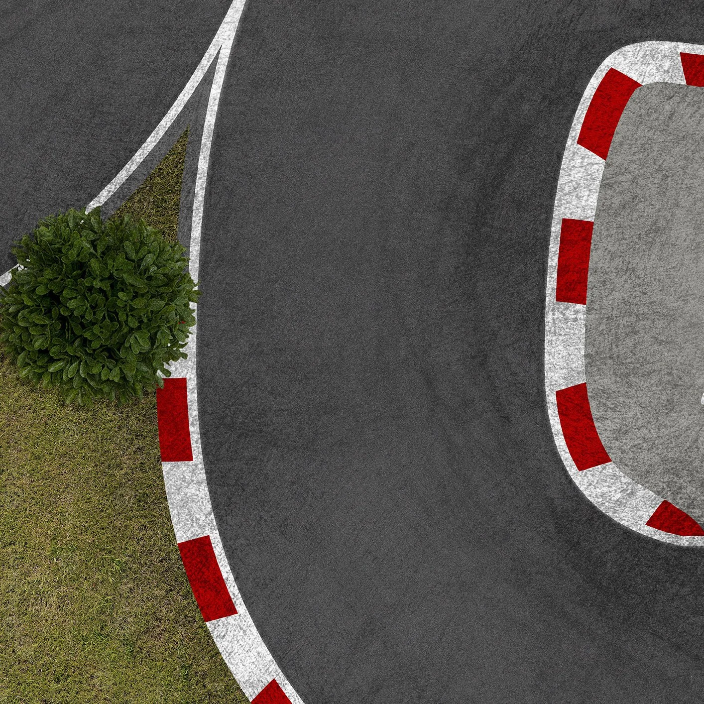 ZEE RACER V2 crop2.jpg