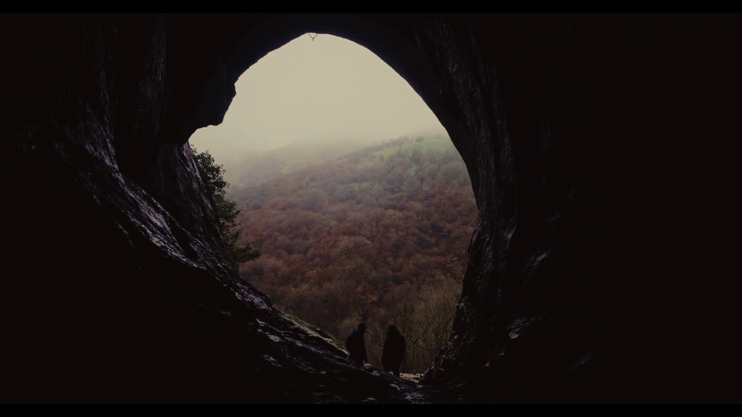 View from inside a dark cave looking out to a foggy, forested landscape with trees and rolling hills.