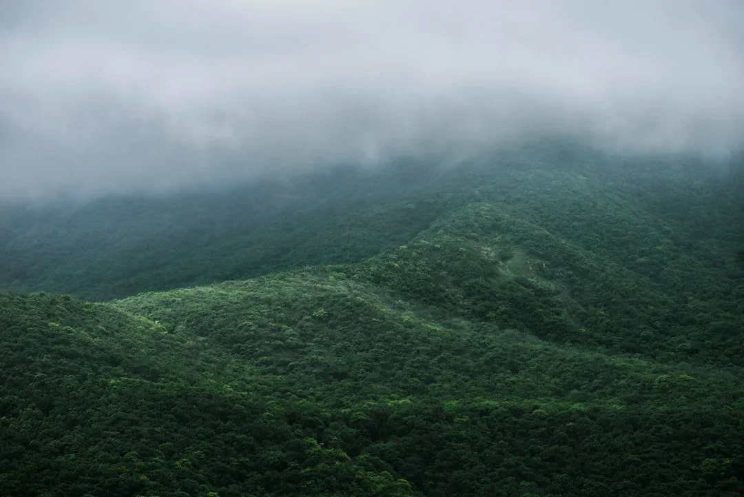 What’s the Difference Between Weather and Climate — Really?