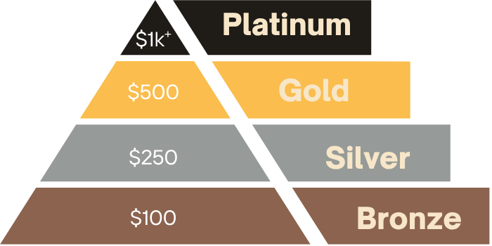A pyramid chart illustrating reward tiers, with Platinum at the top ($1k+), Gold ($500), Silver ($250), and Bronze ($100) at the bottom.