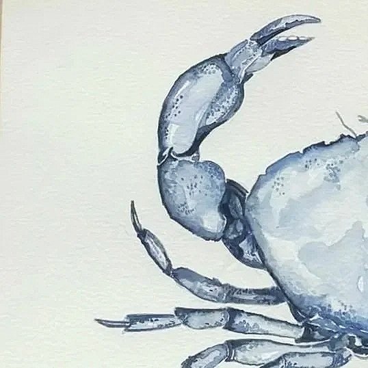 Close-up of a blue-gray crab with detailed claws and legs, against a plain background.