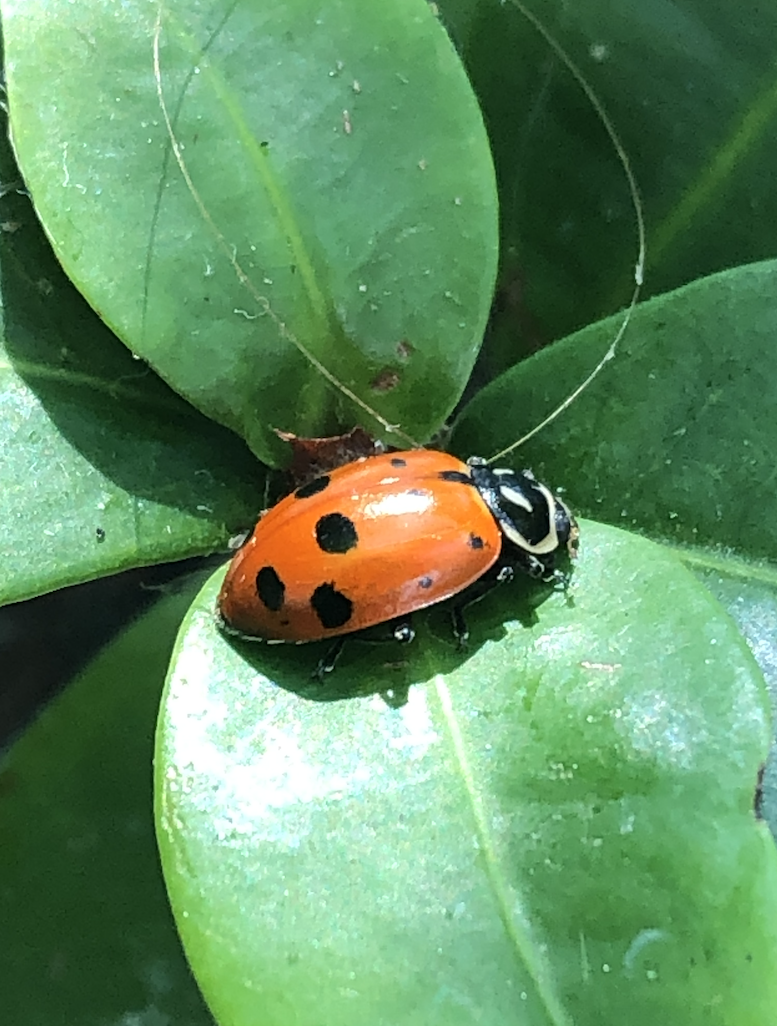 Screenshot 2026-02-23 at 2.20.23 PM.png