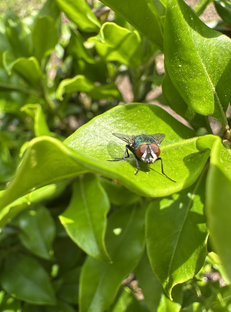 Screenshot 2026-02-23 at 2.24.29 PM.png