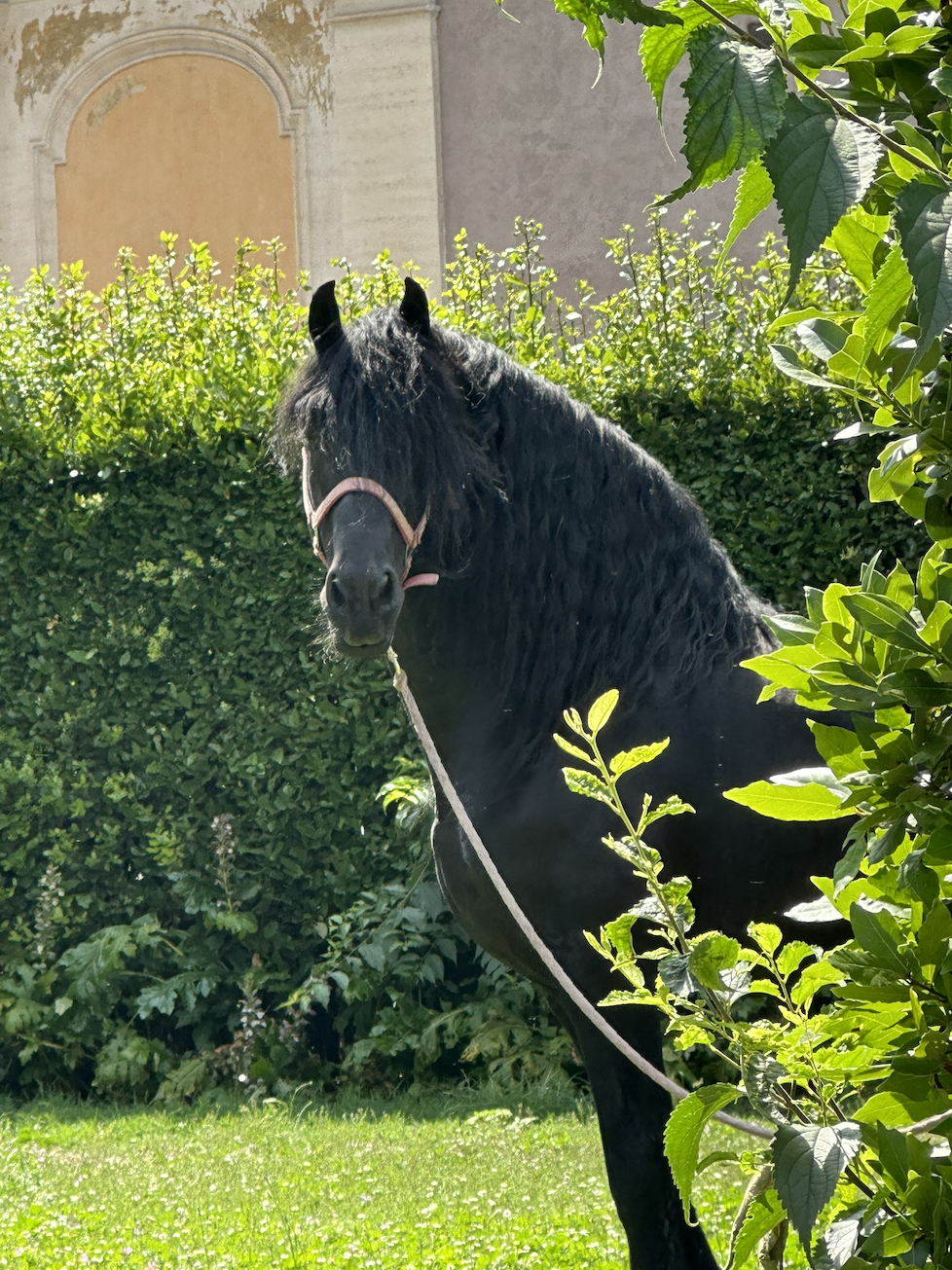 Screenshot 2026-02-24 at 8.31.26 PM.png