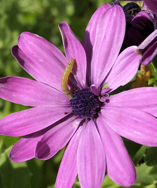 Screenshot 2026-02-23 at 2.19.23 PM.png