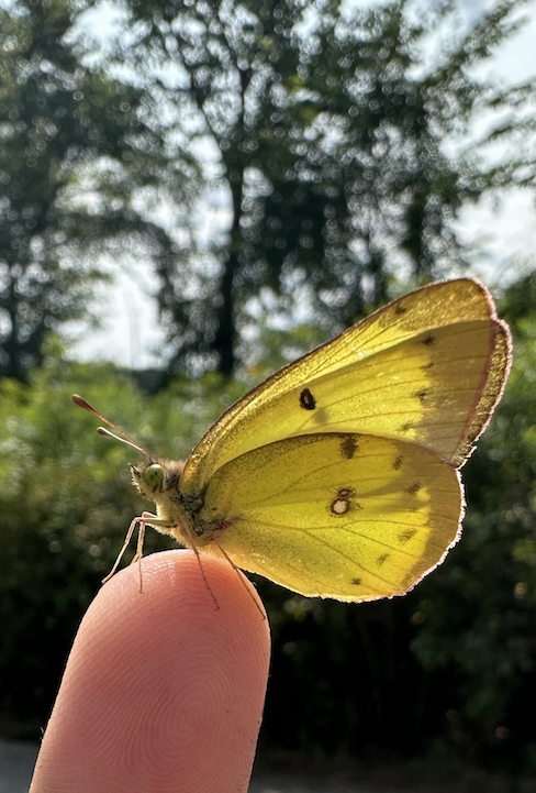 Screenshot 2026-02-23 at 2.24.55 PM.png