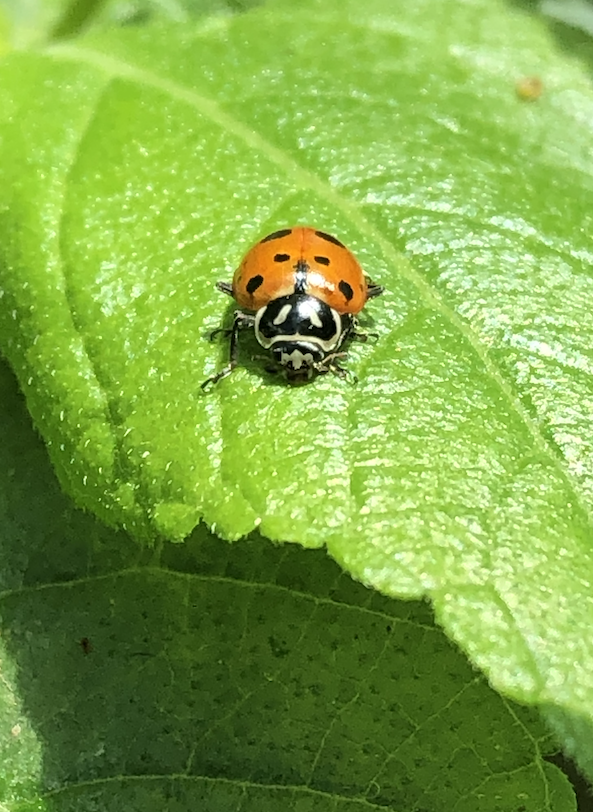 Screenshot 2026-02-23 at 2.18.30 PM.png