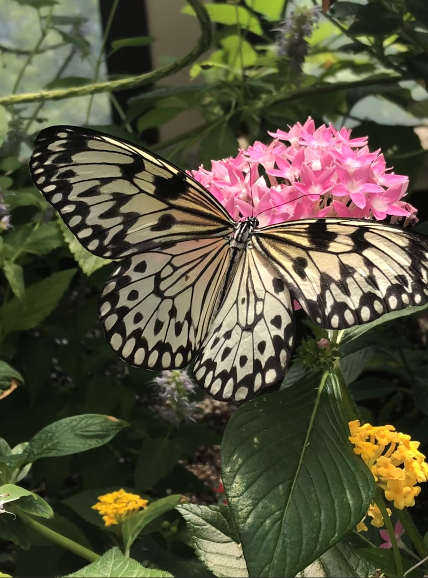 Screenshot 2026-02-23 at 2.20.03 PM.png