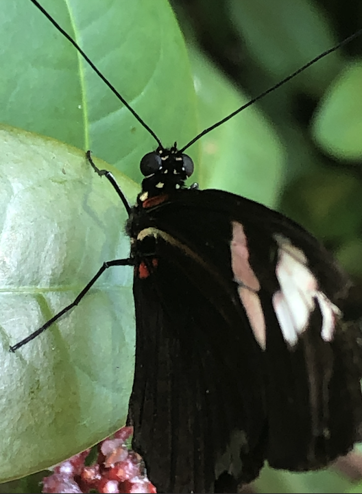 Screenshot 2026-02-23 at 2.21.04 PM.png