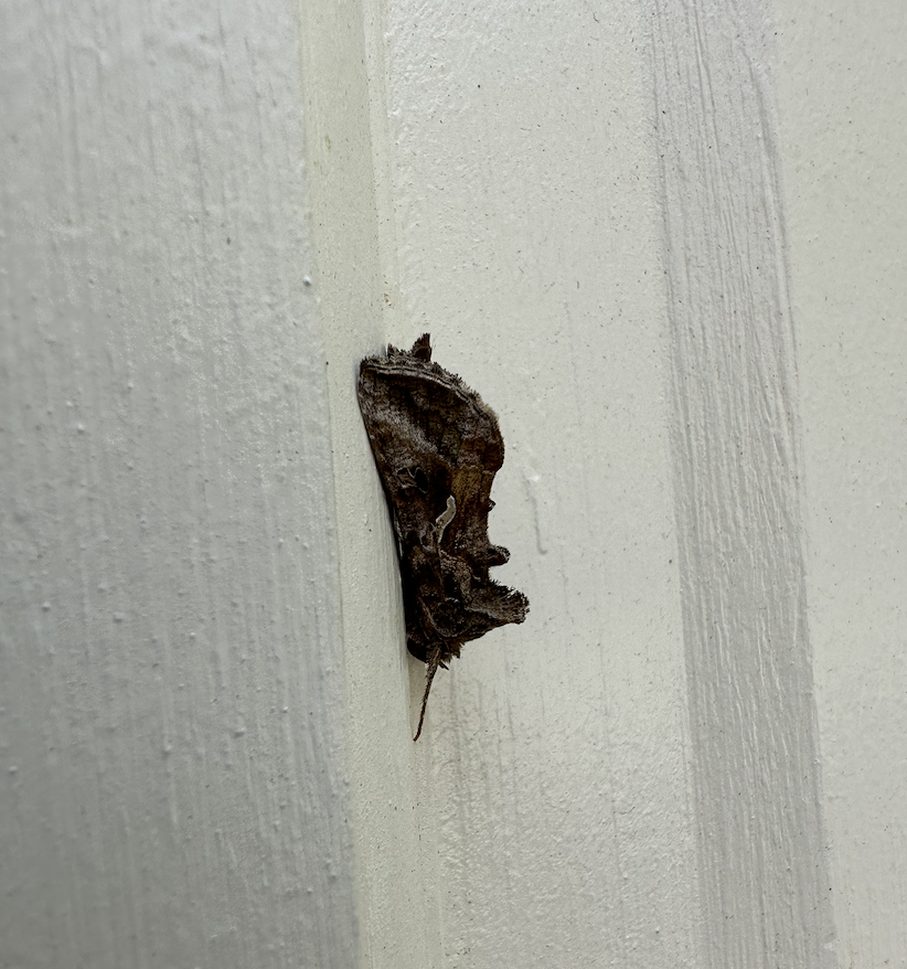 Screenshot 2026-02-23 at 2.21.28 PM.png