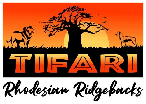 Tifari Rhodesian Ridgebacks