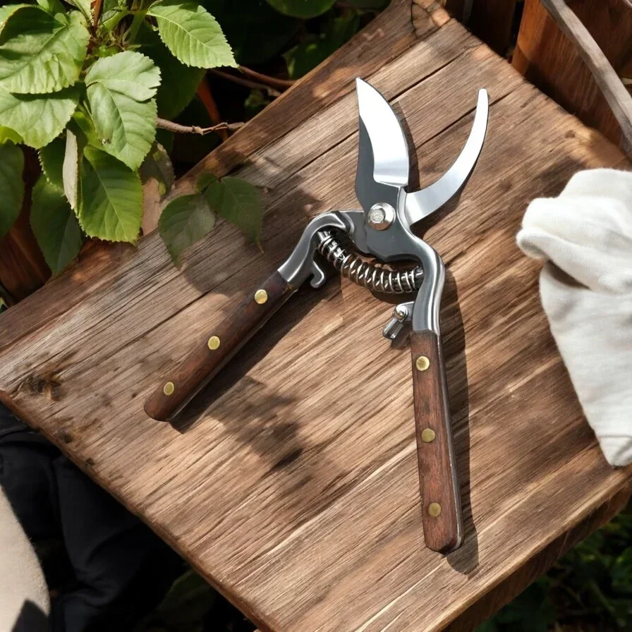 Secateurs