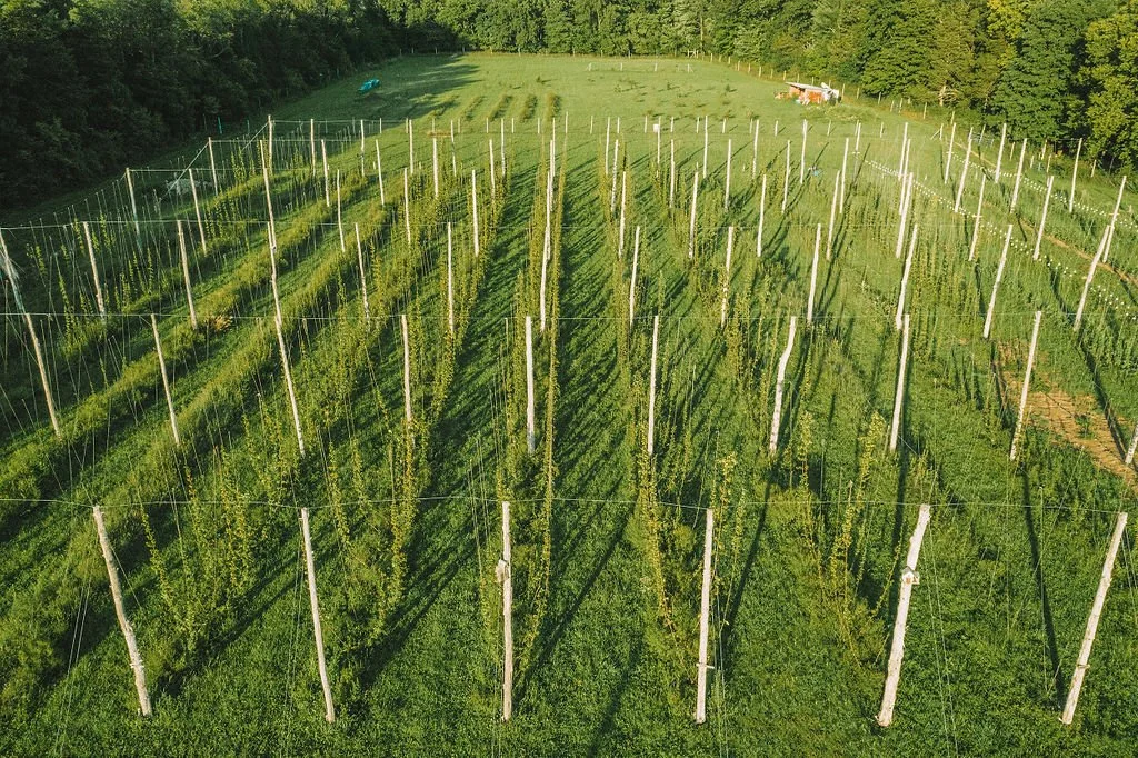 HUDSON VALLEY PLANT EXCHANGE