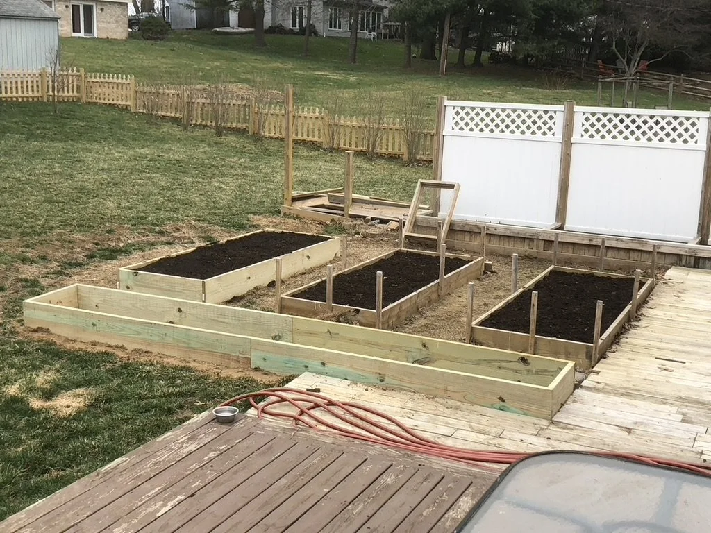 Construction in progress of four garden boxes with new wood and fresh soil