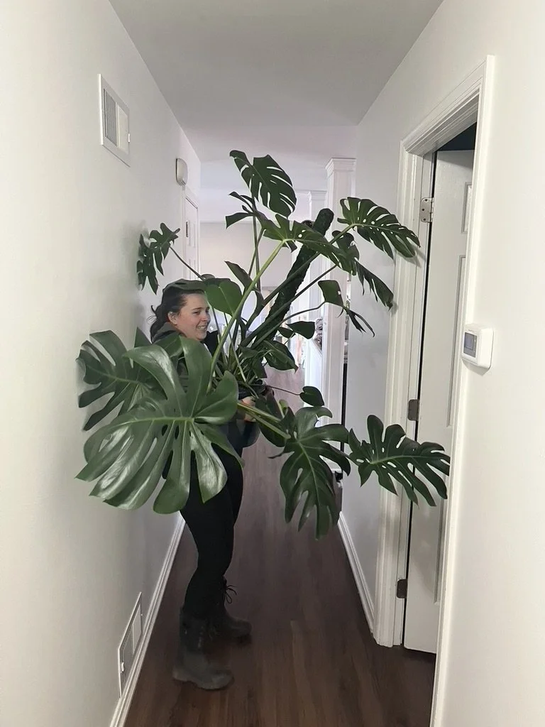 Woman (Christina) stands in a hallway holding a large monstera plant