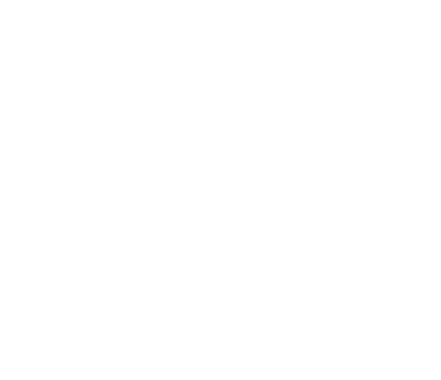 We Suck Couch &amp; Rug Cleaning
