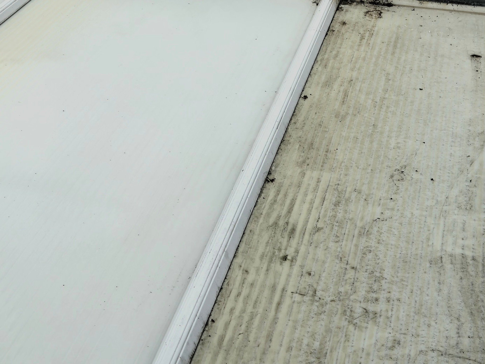Close-up of a white wall and a concrete floor with some dirt and debris.