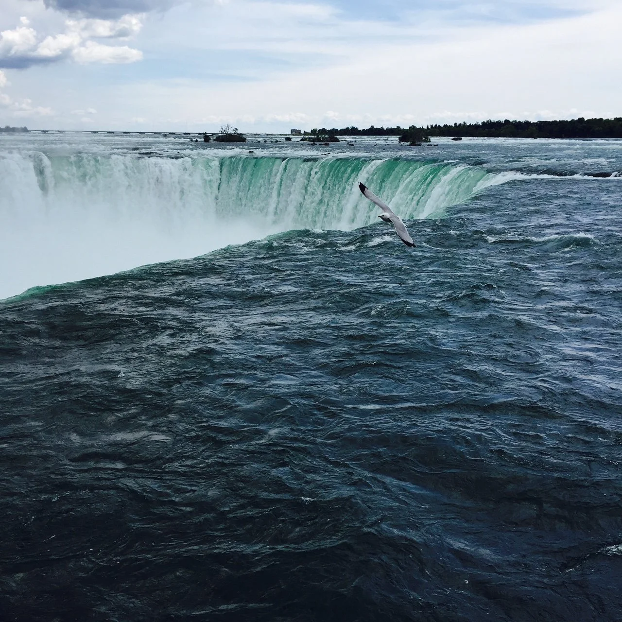 Niagara Falls with a seagull flying over the dark water in the foreground and the wide waterfall cascading in the background under a partly cloudy sky.