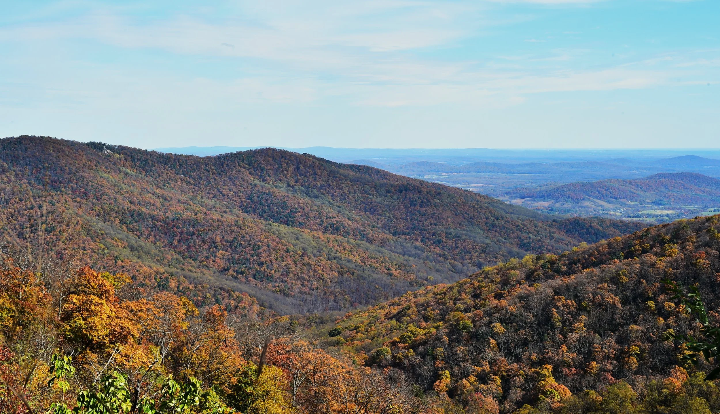 A scenic view of rolling hills covered in dense autumn foliage with trees displaying fall colors, and a distant flat horizon under a partly cloudy sky.